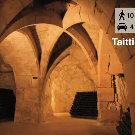 Maison Meuliere Du 34e Sacre, A Proximite Du Domaine Pommery * Reims